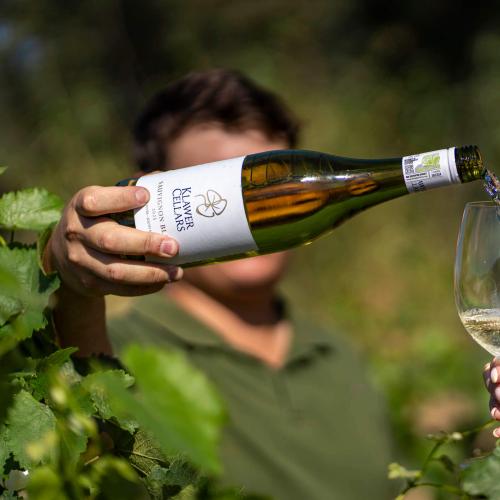 Klawer Wine Cellars Image